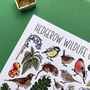 Hedgerow Wildlife Of Britain Watercolour Postcard, thumbnail 11 of 12