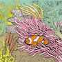 'Clown Fish' Print, thumbnail 3 of 3