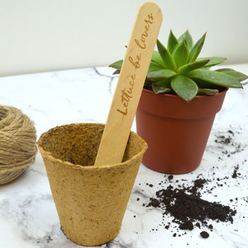 Love Puns Personalised Plant Marker Set, 4 of 7