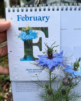 A5 Plantable Desk Calendar By The Rhs And Willsow, 6 of 8