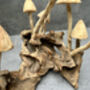 20cm Hand Carved Wooden Mushroom Figurine Coffee Root Wood, thumbnail 11 of 12