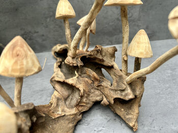 20cm Hand Carved Wooden Mushroom Figurine Coffee Root Wood, 11 of 12