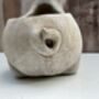 Adorable Pig Plant Pot Stone Indoor Planter Fun Pig Gift, thumbnail 3 of 10