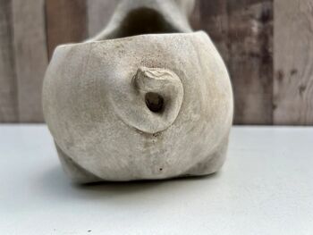 Adorable Pig Plant Pot Stone Indoor Planter Fun Pig Gift, 3 of 10