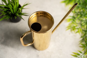 Solid Brass Watering Can – 20 Cm, 2 of 2