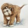 Personalised Pet Portrait Illustration, thumbnail 10 of 10