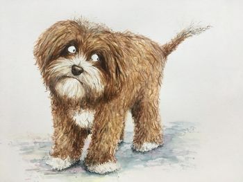 Personalised Pet Portrait Illustration, 10 of 10