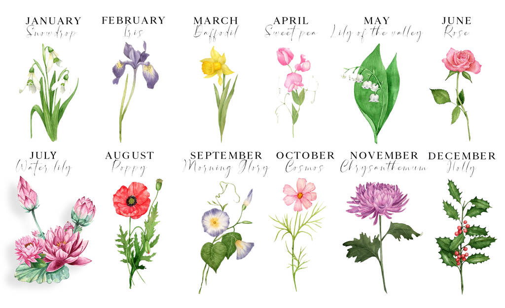 Gift For Her Birth Flower Print By Lisa Marie Designs