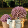 Cement Daisy Planter, thumbnail 4 of 8