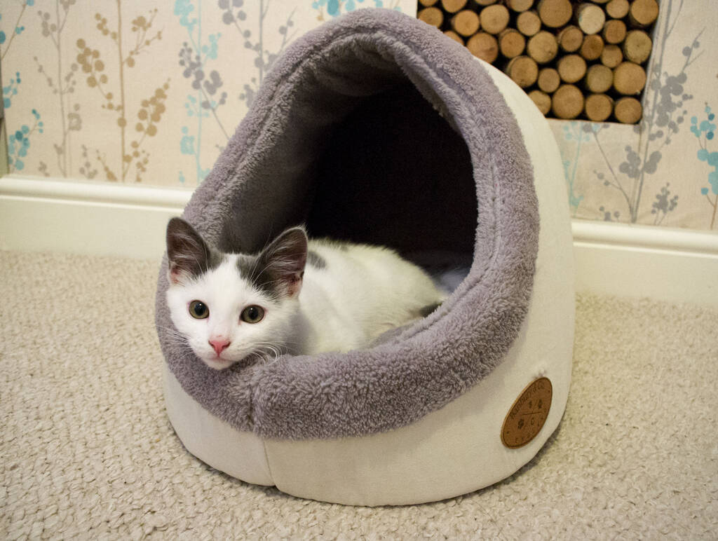 Cats Cosy Igloo Cave Bed With Toy, Grey By NOAH'S ARK