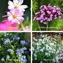 2026 Wall Calendar A5 Opens To A4, Grow Your Own Flower Garden Wall Seed Calendar, thumbnail 7 of 10