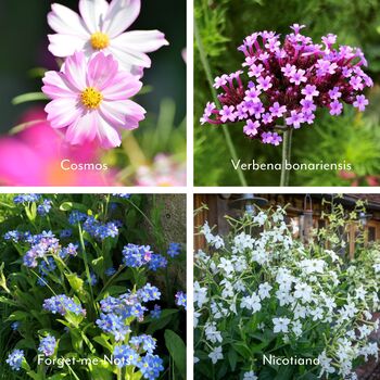 2026 Wall Calendar A5 Opens To A4, Grow Your Own Flower Garden Wall Seed Calendar, 7 of 10