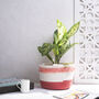 Soft Cotton White And Pink Plant Or Storage Basket, thumbnail 4 of 4