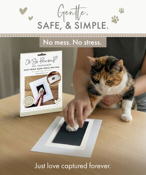 Pet Safe Non Toxic Paw Print Ink Pad Kit, 3 of 12