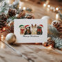 Funny Cat Christmas Card Pack, thumbnail 1 of 2