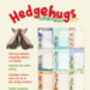 Hedgehugs 2025 Family Organiser Calendar, thumbnail 5 of 6