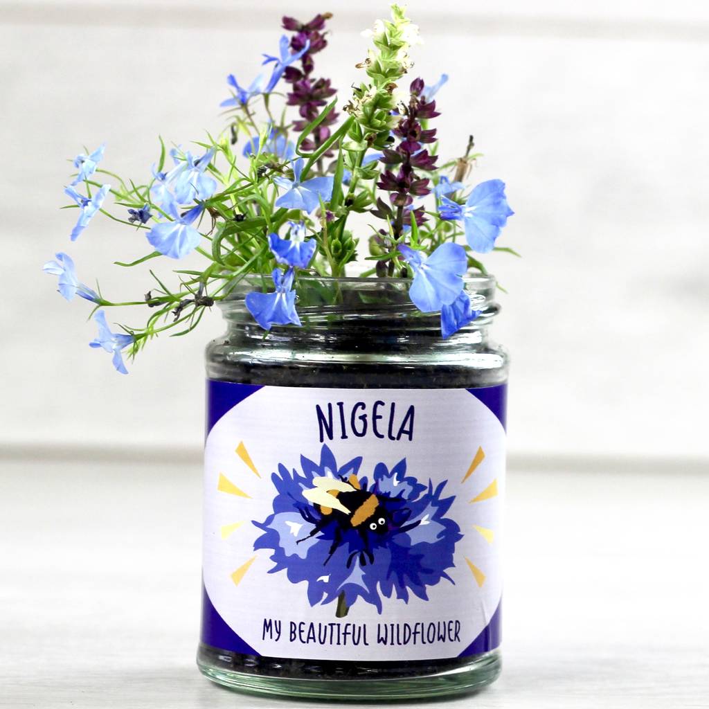personalised happy wildflower grow kit by beecycle