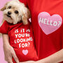 'Puppy Love' Matching Owner Dog T Shirt Set, thumbnail 3 of 5