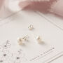 Freshwater Pearl Stud Earrings, thumbnail 3 of 11