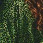 Acid Green Leopard Print Viscose Kimono, thumbnail 4 of 4