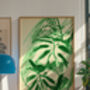 Monstera Plant Illustrated Print, thumbnail 4 of 5