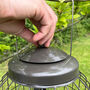 Squirrel Proof Hanging Nut And Fatball Bird Feeders, thumbnail 6 of 8