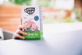 Herbal And Fruit Tea For Kids: The Ultimate Tea Package, 7 of 9