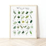 The A To Z Of Trees Print, thumbnail 1 of 6