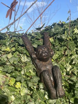 Indoor/Outdoor Attractive Monkey Pot Hanger, 2 of 7