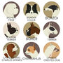 Personalised Fine Art Dog Print 50 Breeds Available, thumbnail 5 of 9