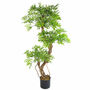 Large Japanese Fruticosa Ficus Artificial Tree, thumbnail 2 of 2