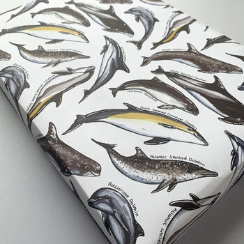 Dolphin Species Wrapping Paper Set, 10 of 10