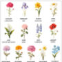 Personalised Birth Flower Grandma Print, thumbnail 3 of 10
