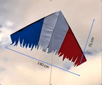 La Resistance Delta Kite Distressed Tricolour, 7 of 8