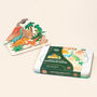 Make Your Own Dinosaur Scene Craft Kit, thumbnail 3 of 7