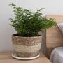 Pack Of Three Natural Seagrass Planter Baskets, thumbnail 3 of 8