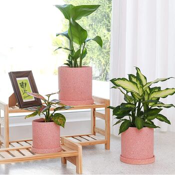 Set Of Three Pink Ceramic Planters With Saucers, 3 of 4