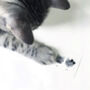 Three Of A Kind Cat Temporary Tattoo, thumbnail 6 of 6