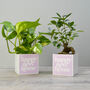 'Happy New Home' Positivity Plant Pot And Houseplant, thumbnail 5 of 7