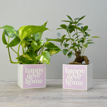 'Happy New Home' Positivity Plant Pot And Houseplant, 5 of 7