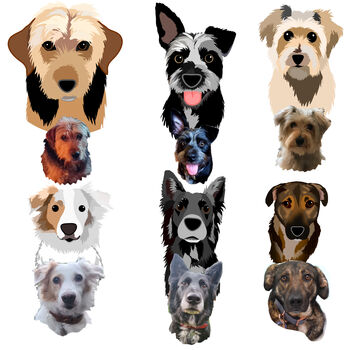 Personalised Pet Portrait Digital Illustration, 8 of 12