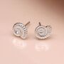 Sterling Silver Ammonite Shell Stud Earrings, thumbnail 1 of 10