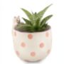 Spotty Peeking Cat Planter, thumbnail 5 of 7