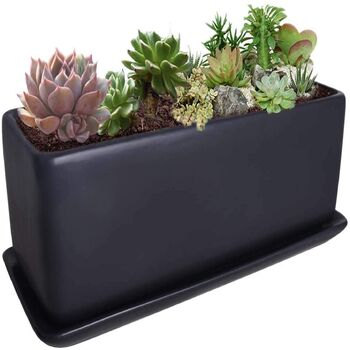 Black Modern Minimalist Ceramic Succulent Planter Pot, 5 of 6
