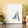 Inky Nuthatch Illustration Print, thumbnail 8 of 12