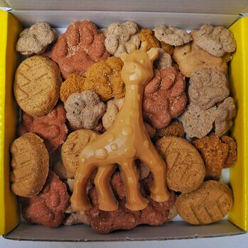 Dog Treat Box The Puppy One, 7 of 8