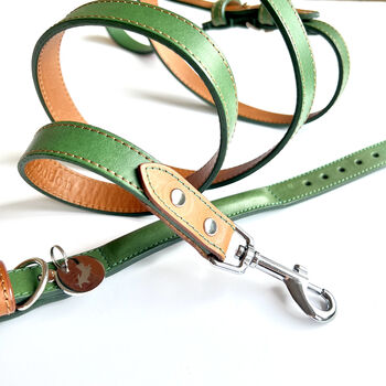 Green Collar And Lead Set, 3 of 5