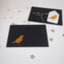 Raining Cats And Dogs T Shirt, thumbnail 5 of 5