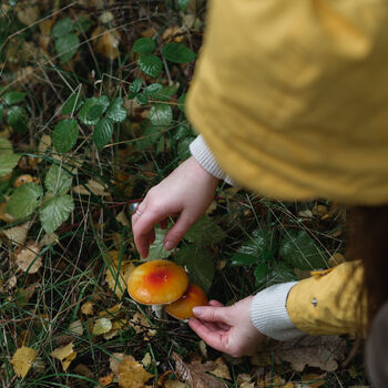 Winter Foraging Workshop For One In The South Downs, 3 of 7