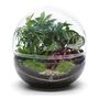 Large Terrarium Kit |'Zagreb', thumbnail 11 of 12